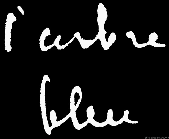 Word "L'arbre bleu" by Vincent Van Gogh photographed by Serge Briez, ©2014 Cap médiations